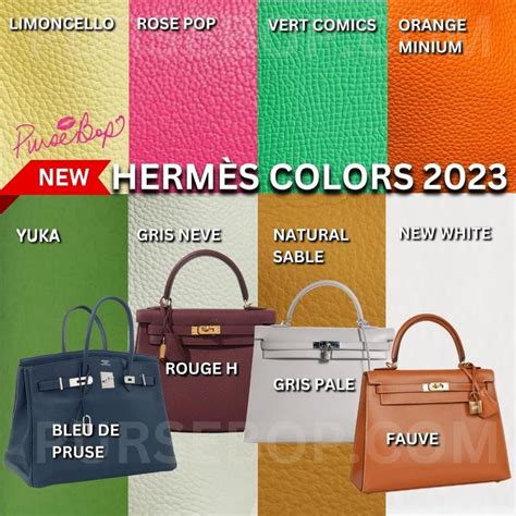 hermes 2019 bag colors|hermes colors value guide.